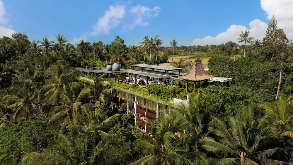 メイン イメージ