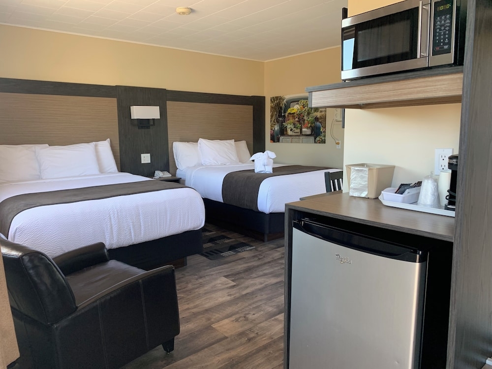 メイン イメージ