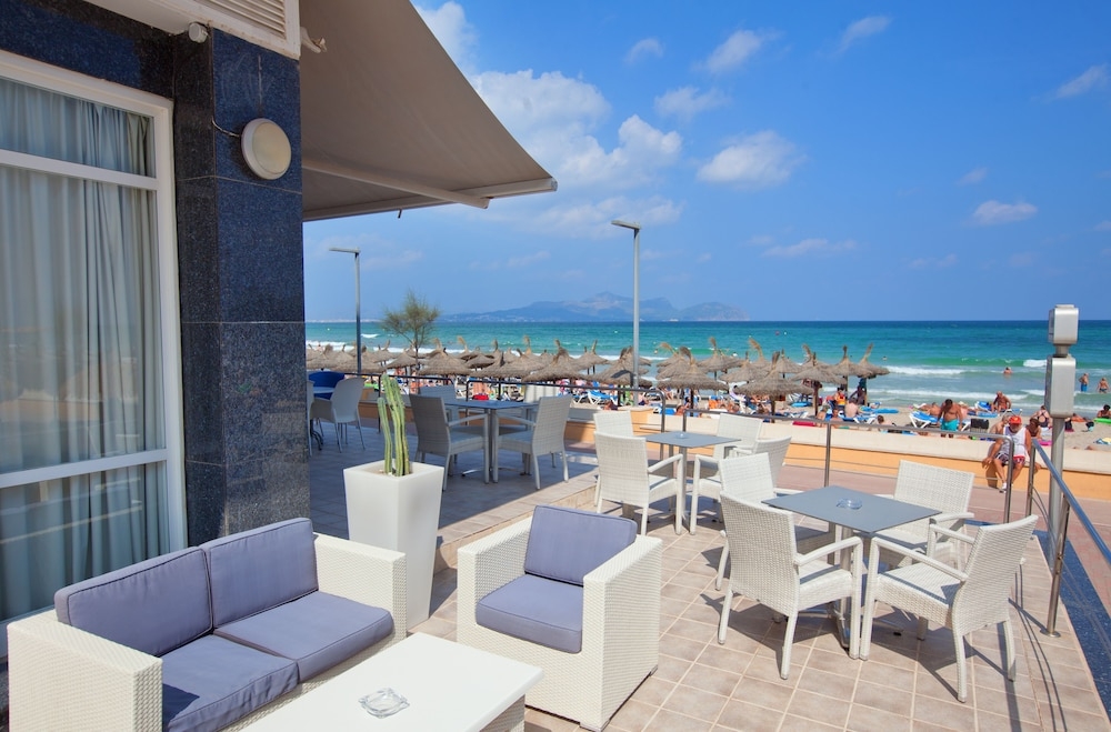 テラス / パティオ