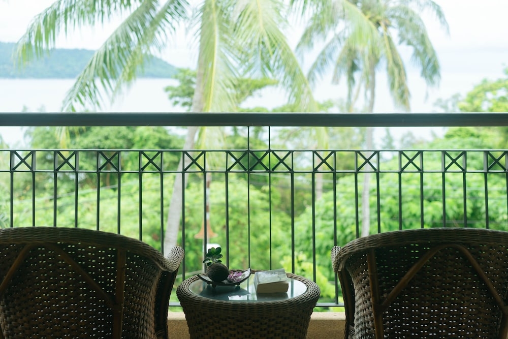 テラス / パティオ