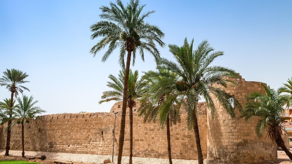 施設からの眺望