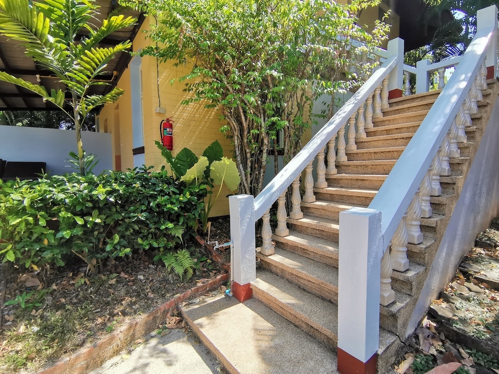 テラス / パティオ