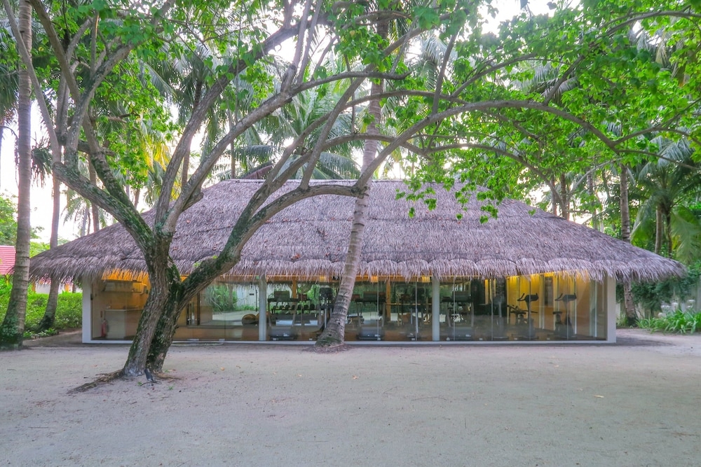 フィットネス設備