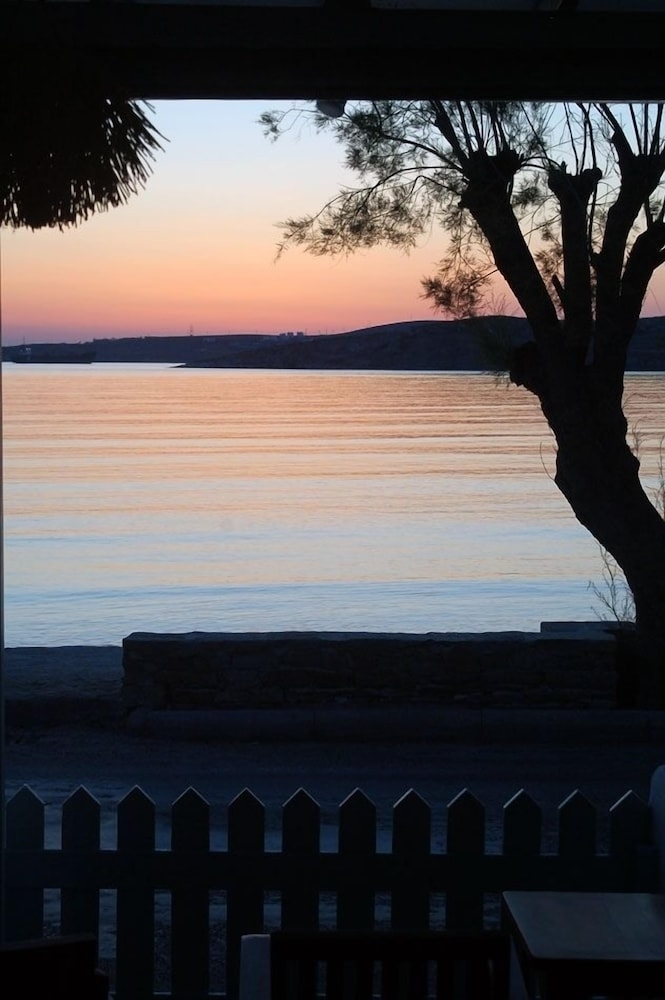 施設からの眺望