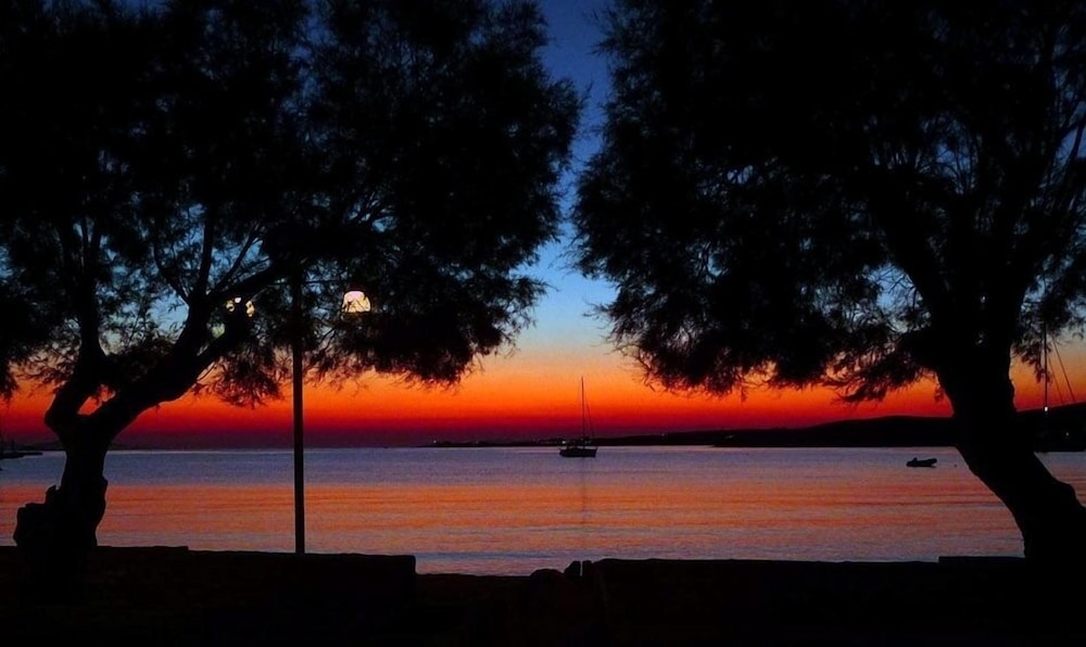 施設からの眺望