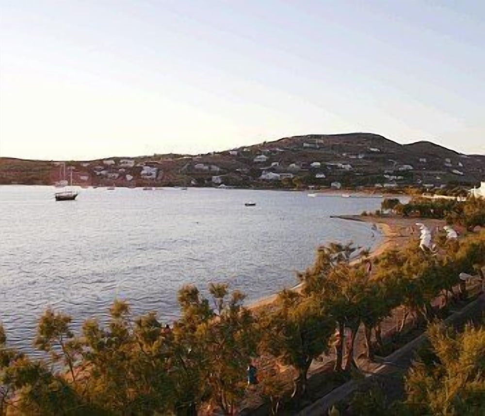 ビーチ / オーシャン ビュー