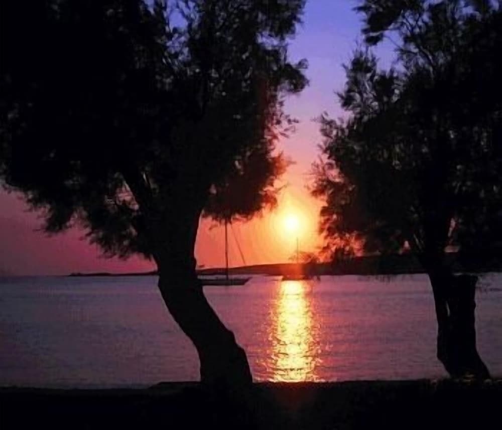 ビーチ / オーシャン ビュー