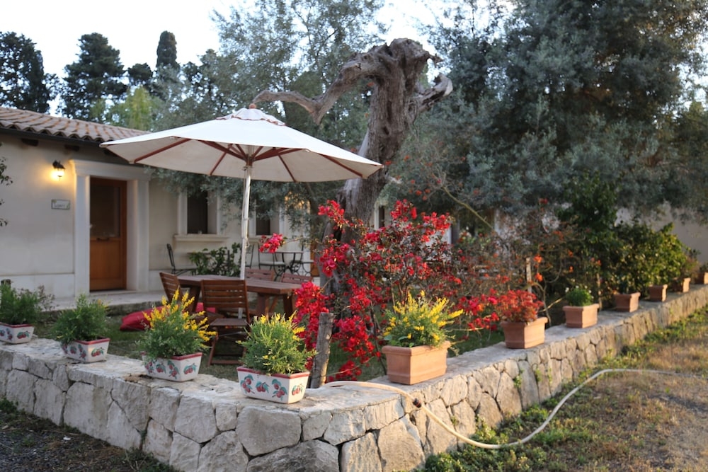 テラス / パティオ