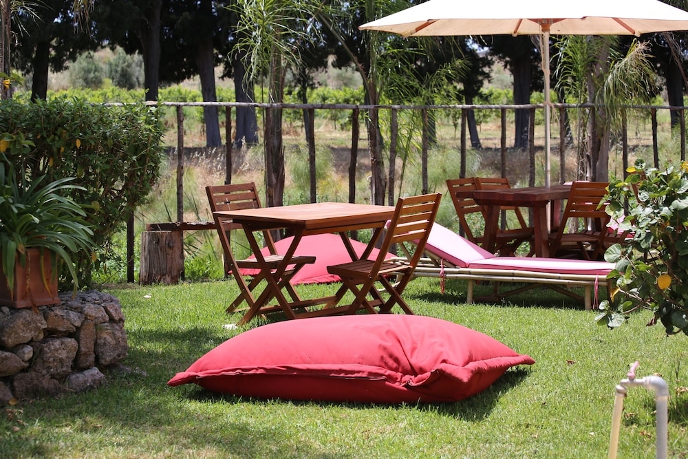 テラス / パティオ