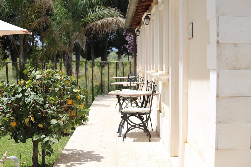 テラス / パティオ