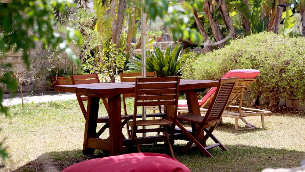 テラス / パティオ