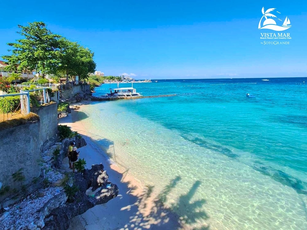 メイン イメージ