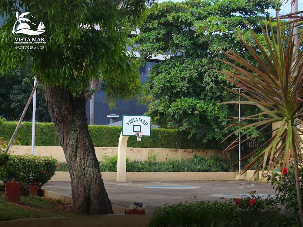 バスケットボール コート