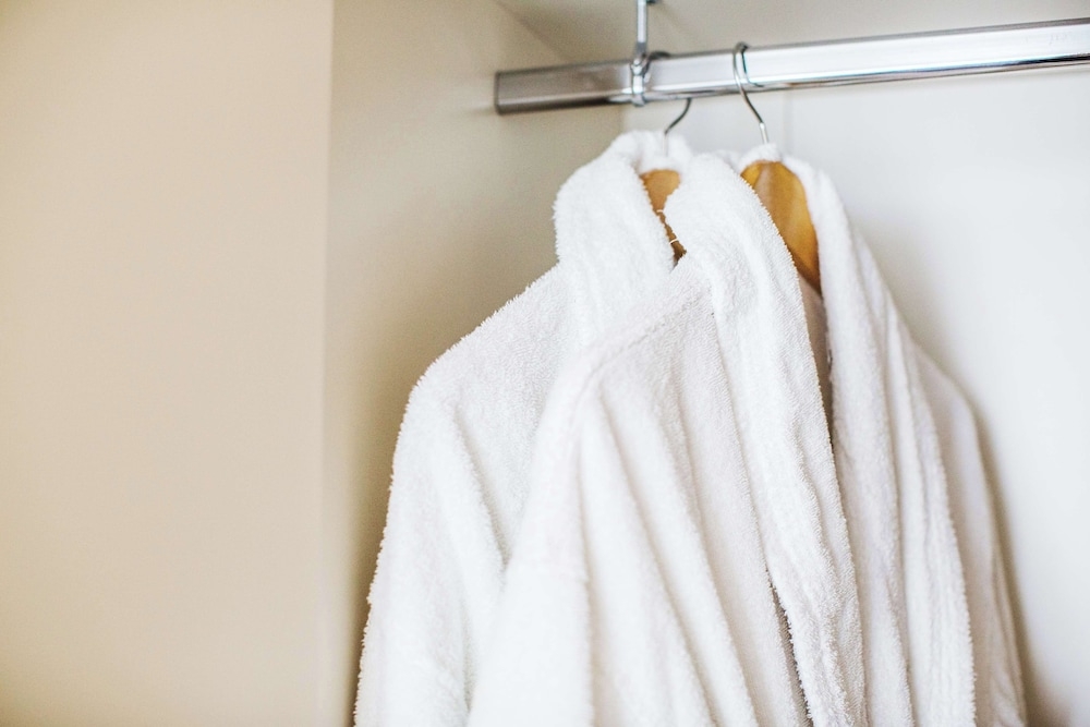 客室の設備とサービス