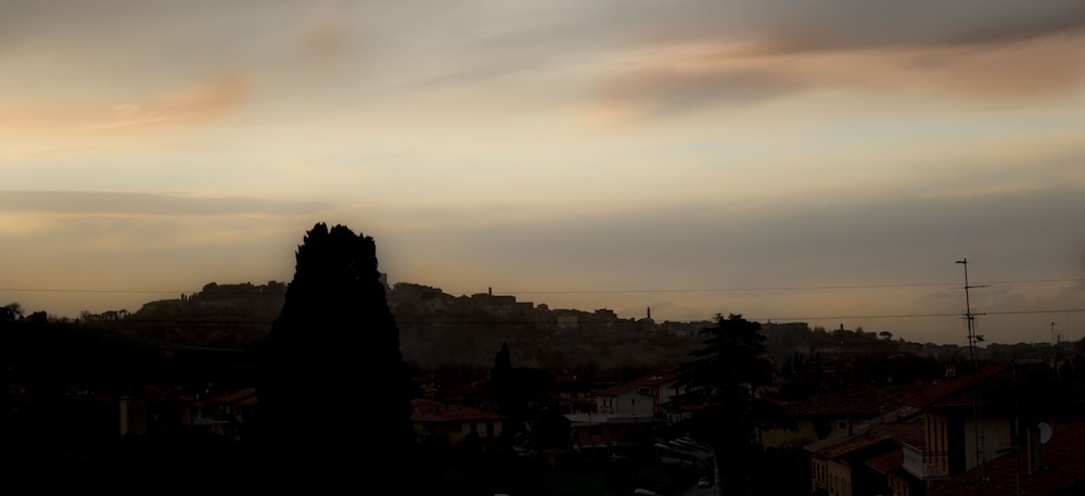 施設からの眺望