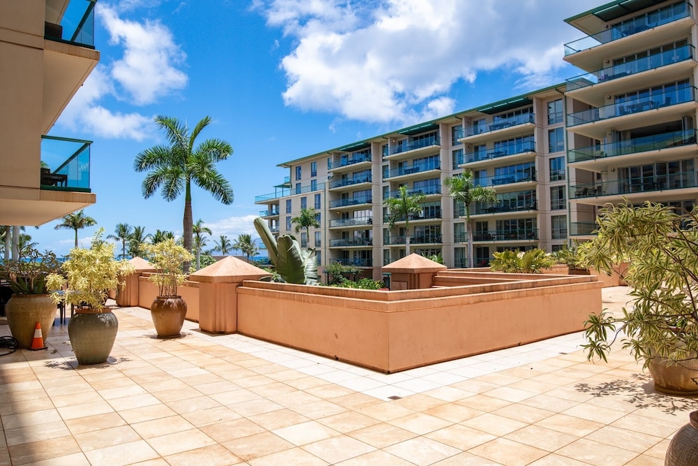 テラス / パティオ