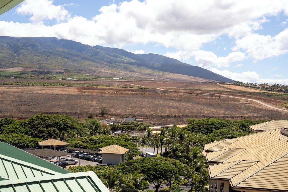 バルコニーからの眺望