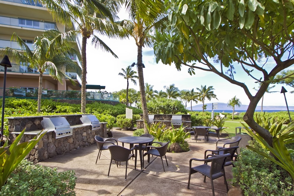 バーベキュー / ピクニック エリア