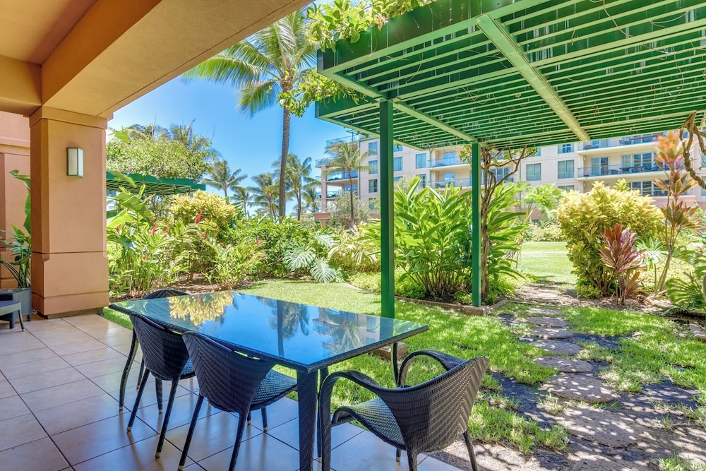 テラス / パティオ