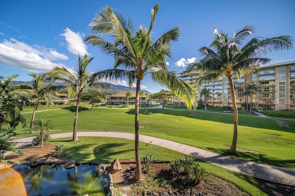 部屋からの景観