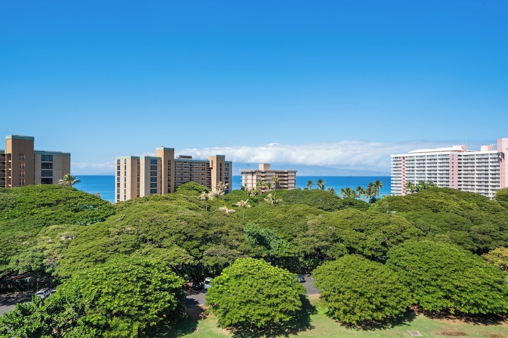 部屋からの景観