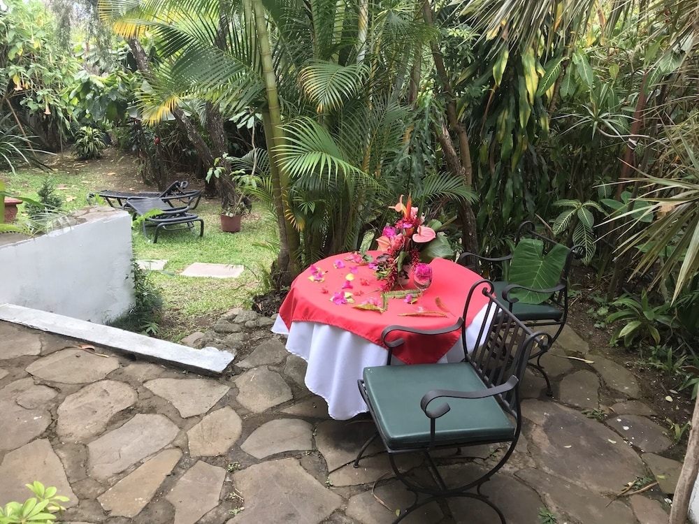 テラス / パティオ