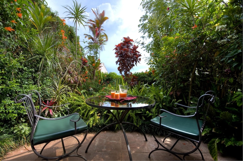 テラス / パティオ