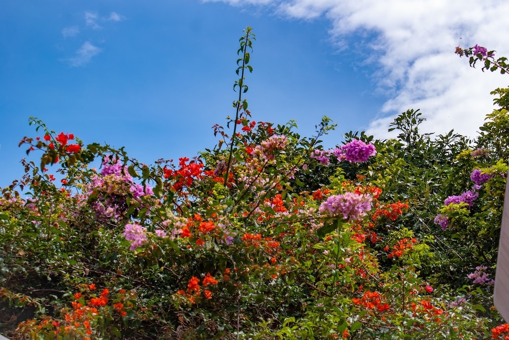 施設からの眺望