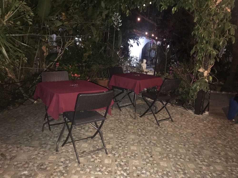 テラス / パティオ