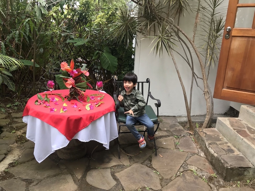 テラス / パティオ