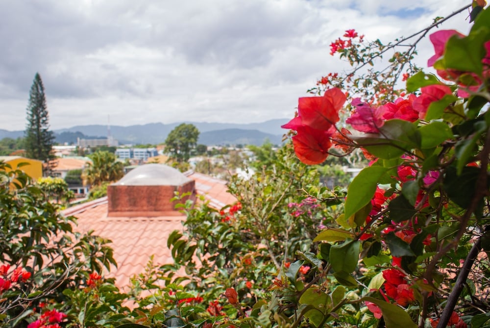 施設からの眺望