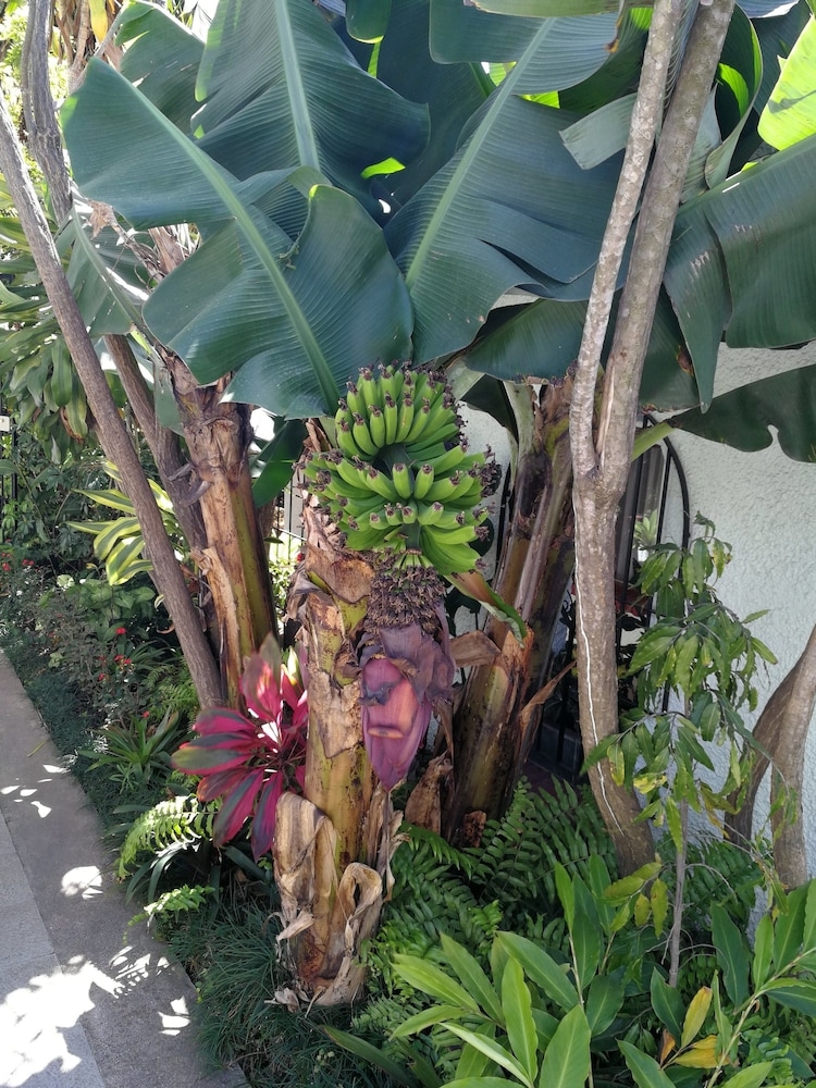 施設からの眺望