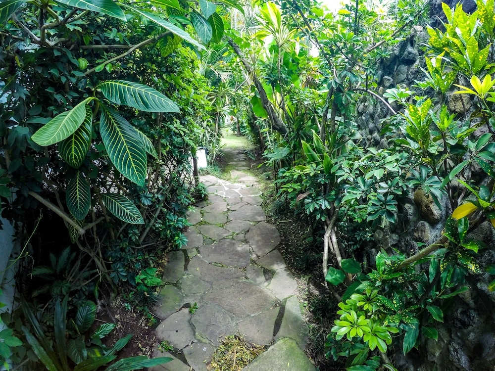 施設からの眺望