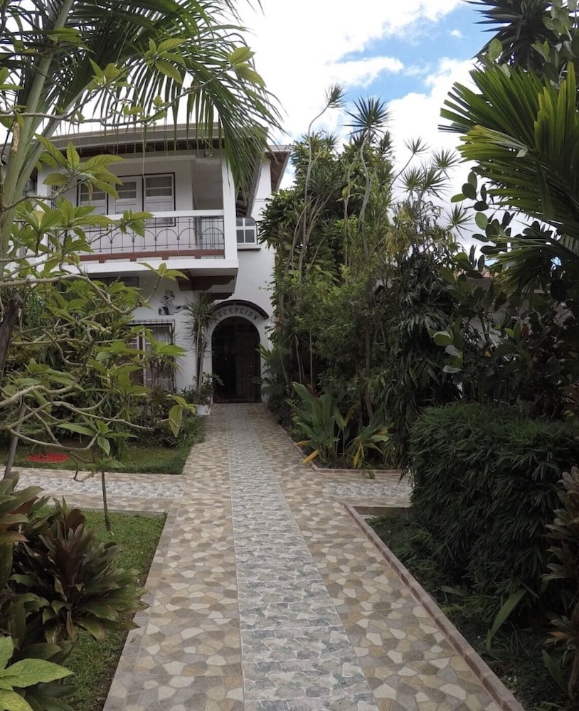 テラス / パティオ