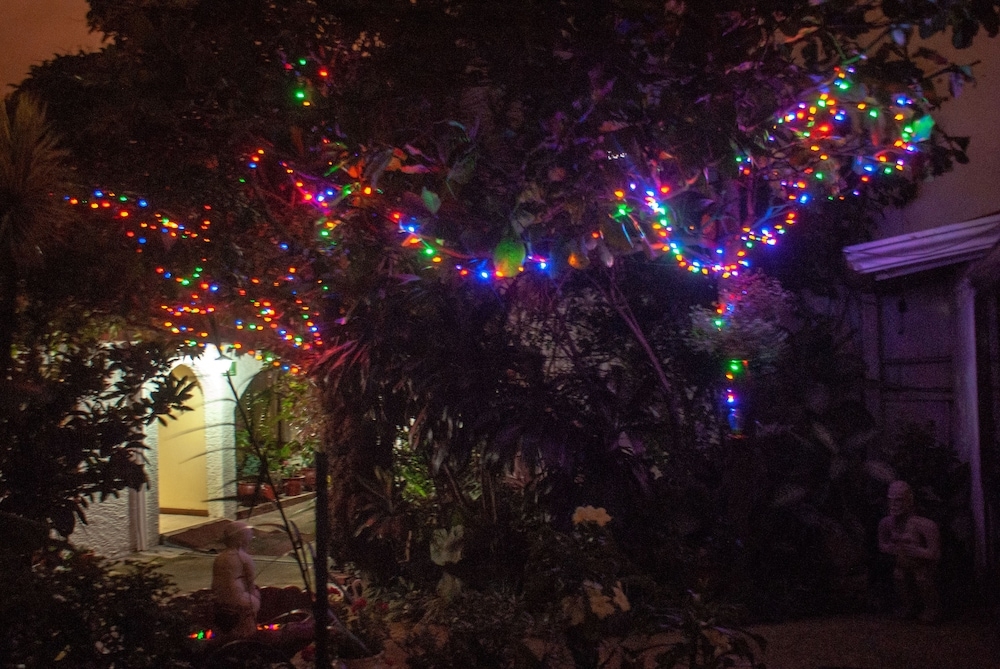 施設からの眺望