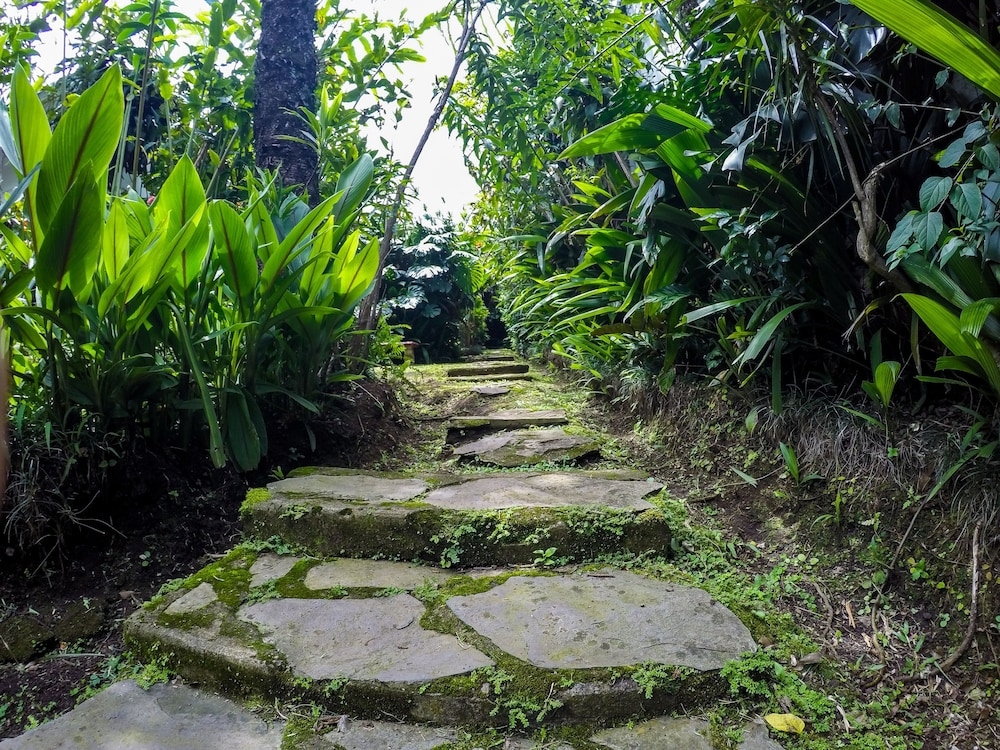 施設からの眺望