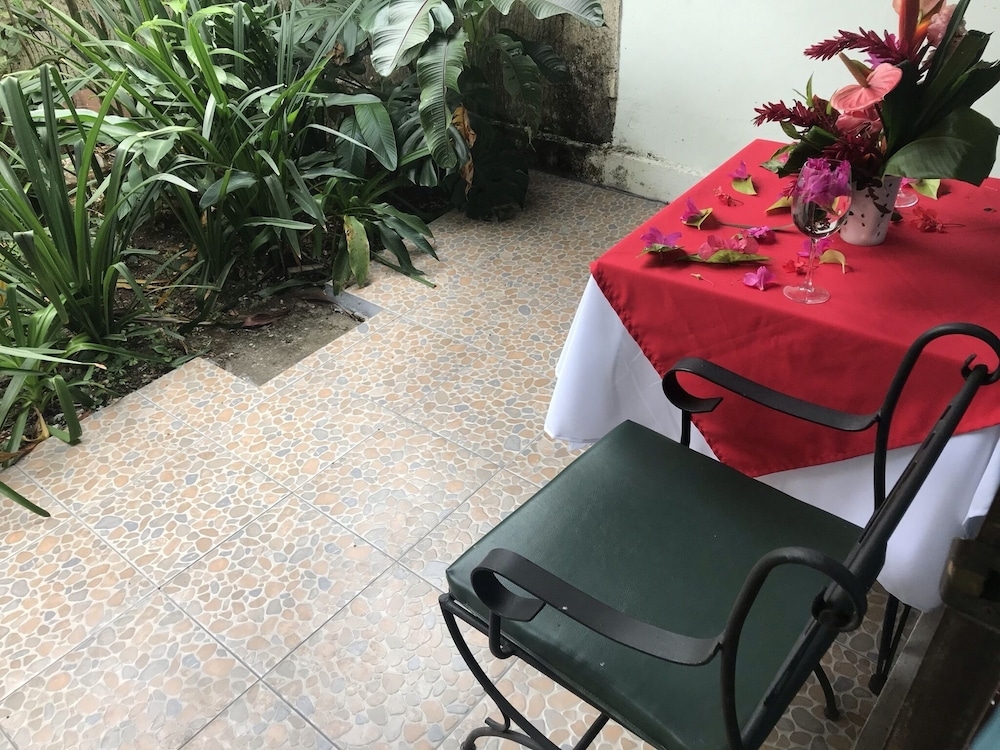 テラス / パティオ