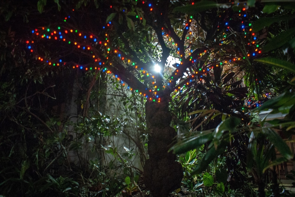 施設からの眺望