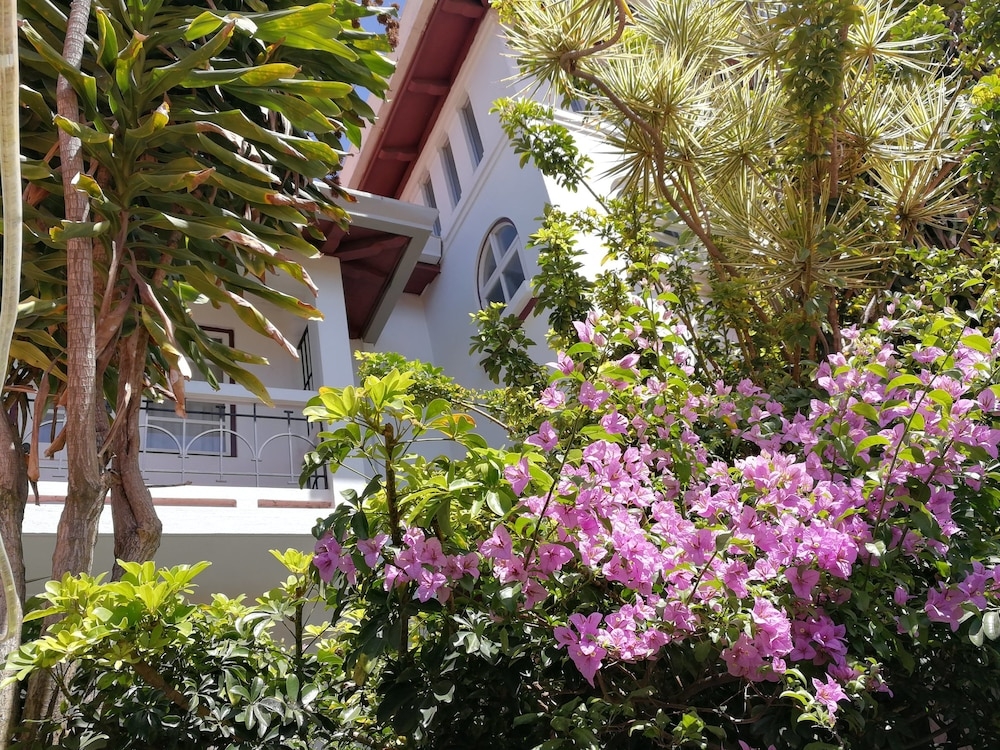 施設からの眺望