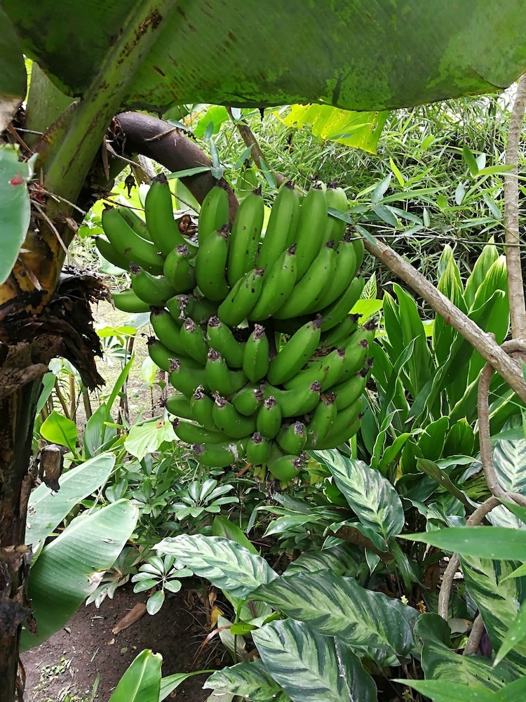 施設からの眺望