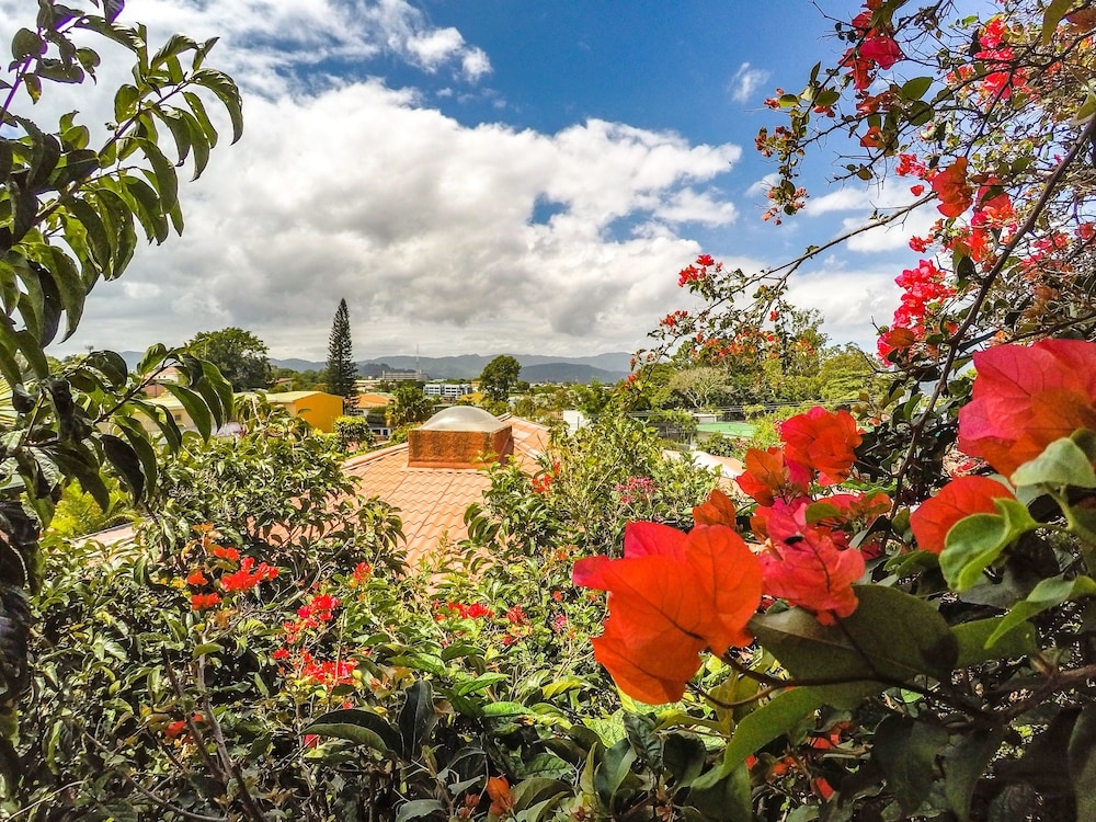 マウンテン ビュー