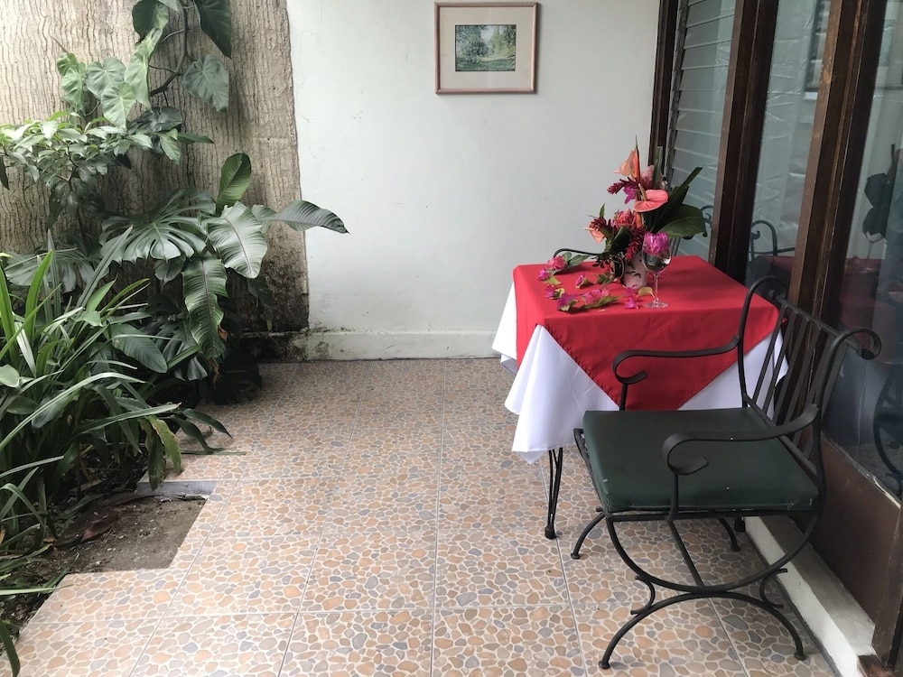 テラス / パティオ