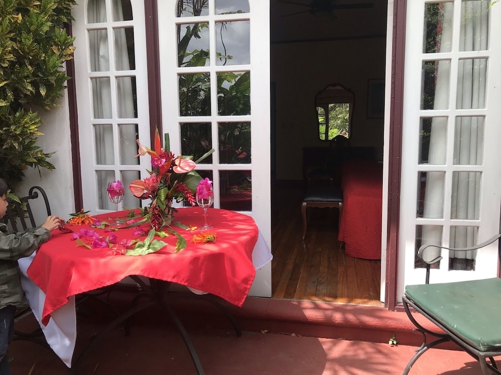 テラス / パティオ