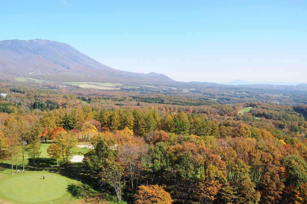 マウンテン ビュー