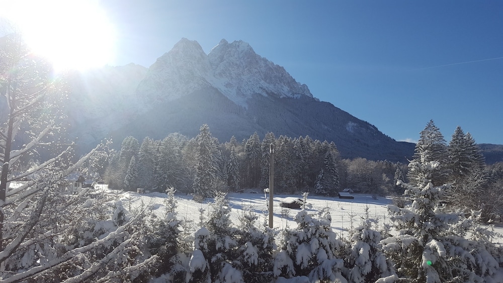 マウンテン ビュー