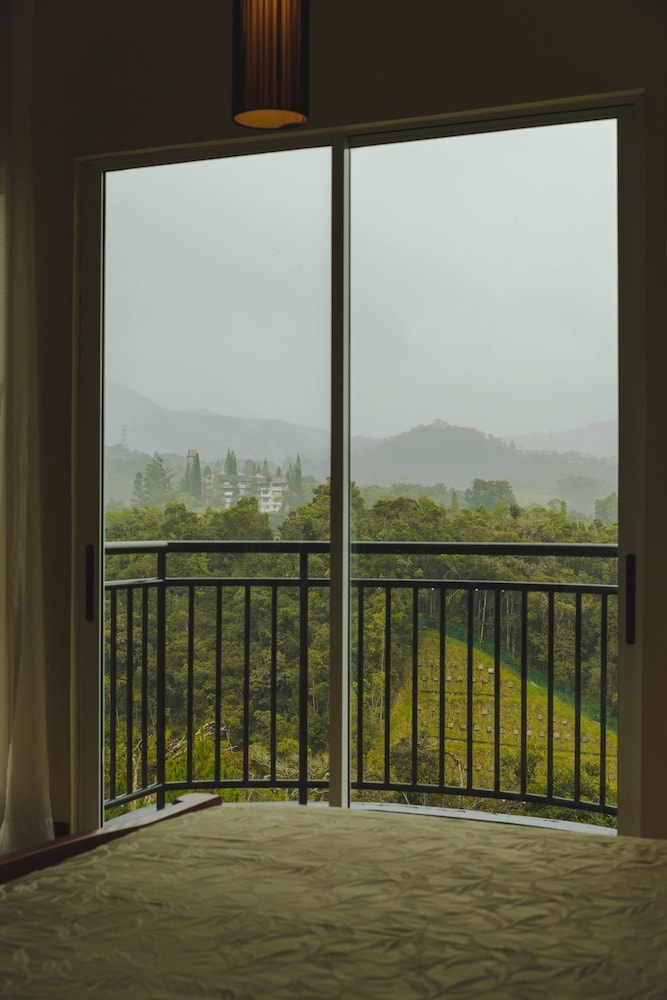 部屋からの景観