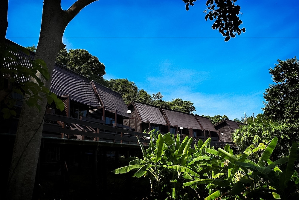 テラス / パティオ