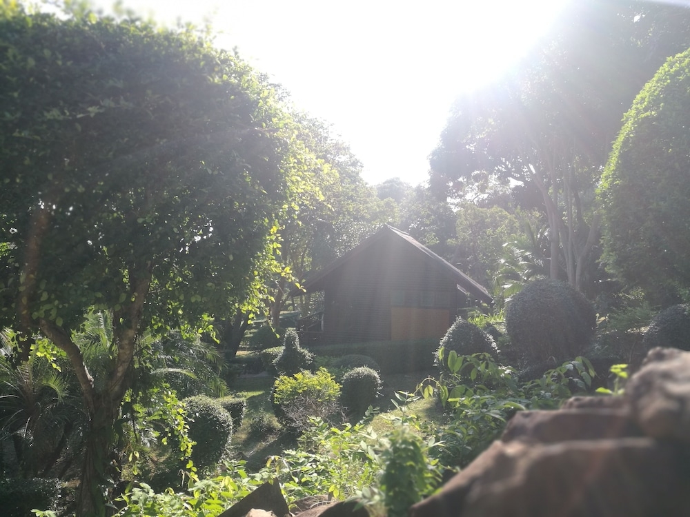 ガーデン ビュー