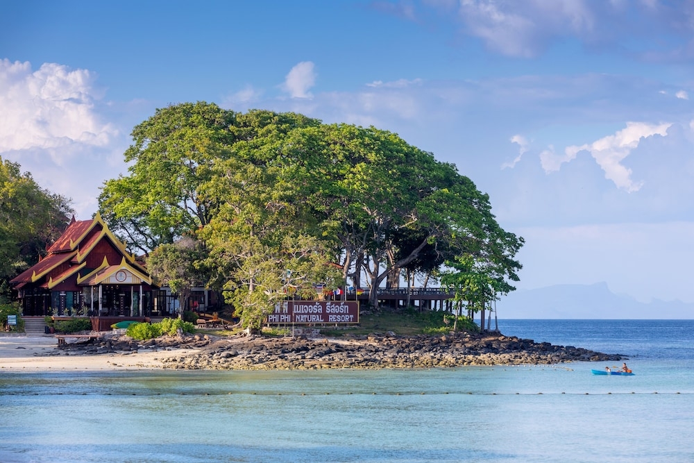 メイン イメージ