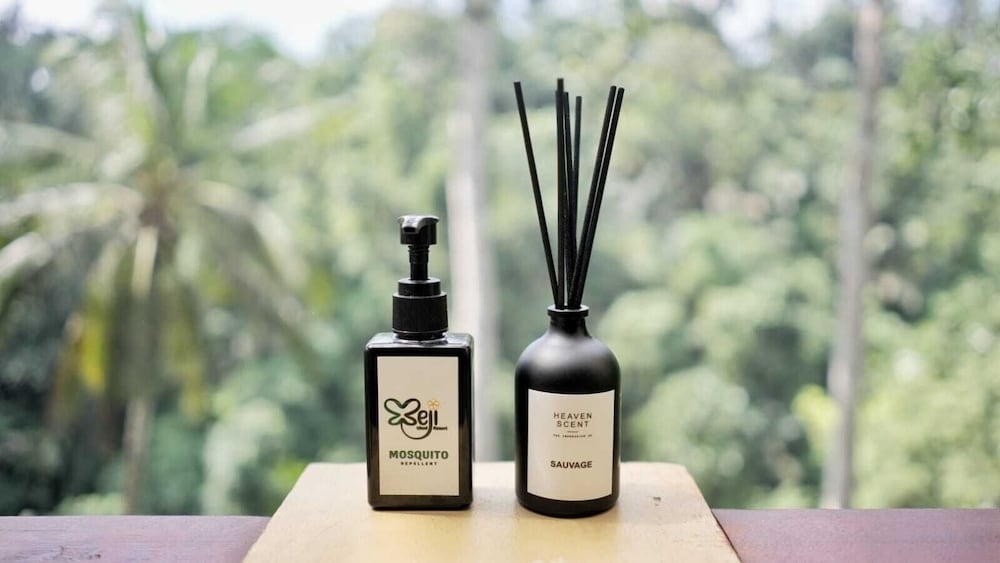 客室の設備とサービス